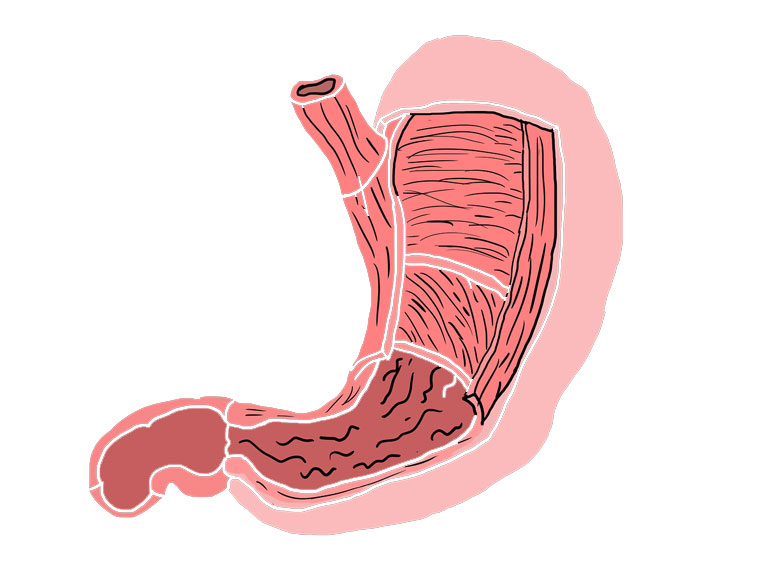 Gastroenterology Treatment
